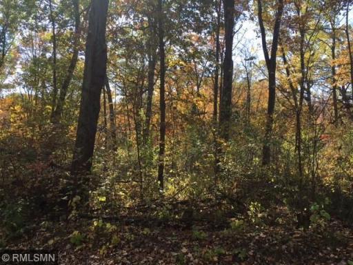 19301 N Manning Trail, Scandia, MN 55073