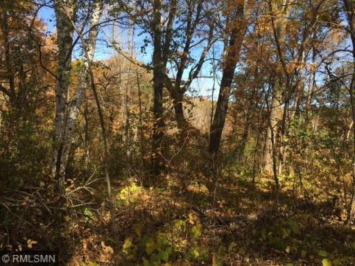 19301 N Manning Trail, Scandia, MN 55073