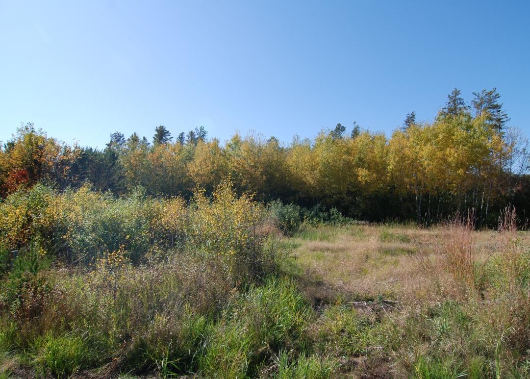 LOT-8.JPG
