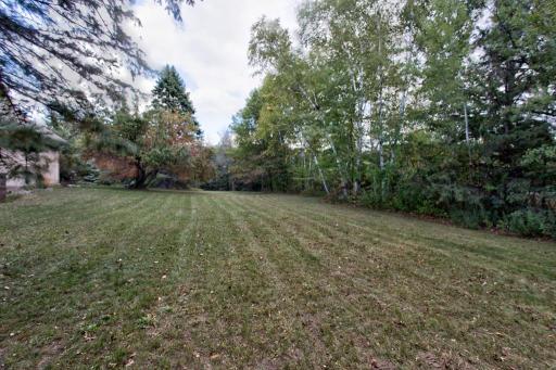 side yard leading to the food plot