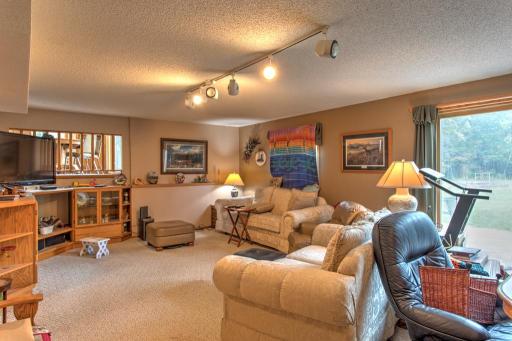 with walkout patio door and open to main level