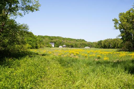 N7971 747th Street, River Falls, WI 54022