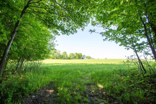 N7971 747th Street, River Falls, WI 54022