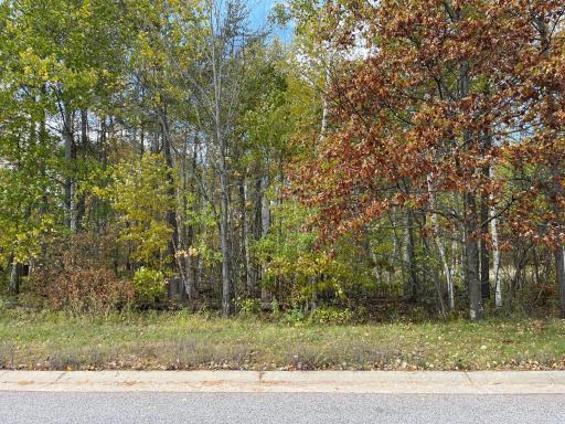 tbd Airport Road, Breezy Point, MN 56472