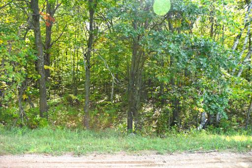 xxxx Penny Drive, Browerville, MN 56438