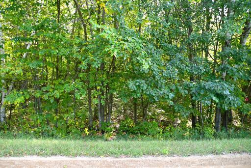 xxxx Penny Drive, Browerville, MN 56438