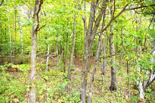 xxxx Penny Drive, Browerville, MN 56438