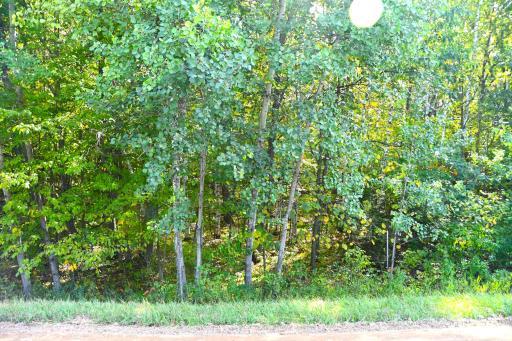 xxxx Penny Drive, Browerville, MN 56438