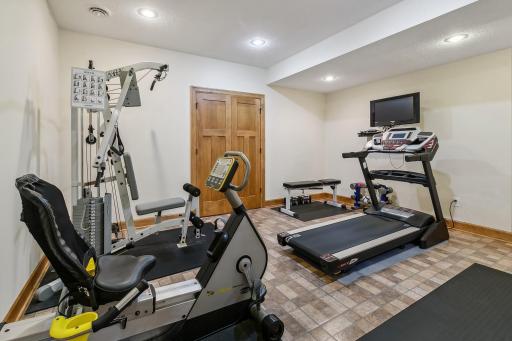 Lower level Exercise Room, the double doors hide the storage room with some built in shelves