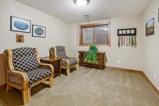 Lower level 5th Bedroom with egress window, double door closet ...