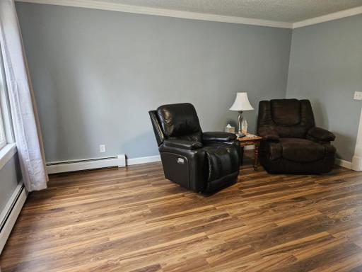 409 5th Street, International Falls, MN 56649