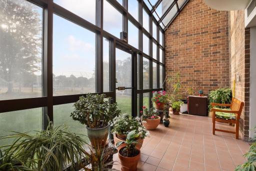 Greenhouse with lots of plant in the walk out lower level