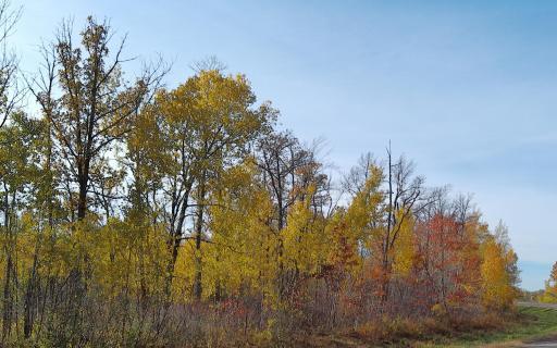 Photo for 28XXX 60th Avenue, Ogilvie, MN 56358 - Listing #6450013 28XXX 60th Avenue, Ogilvie, MN 56358