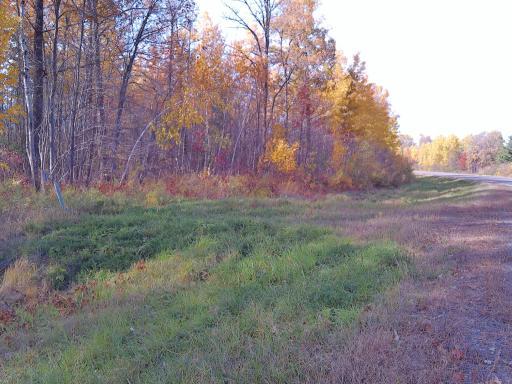 Photo for 28XXX 60th Avenue, Ogilvie, MN 56358 - Listing #6450013 Driveway approach in place. Great start for calling these acres your home.