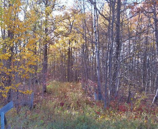 Photo for 28XXX 60th Avenue, Ogilvie, MN 56358 - Listing #6450013 Nice clearing straight off the existing approach.
