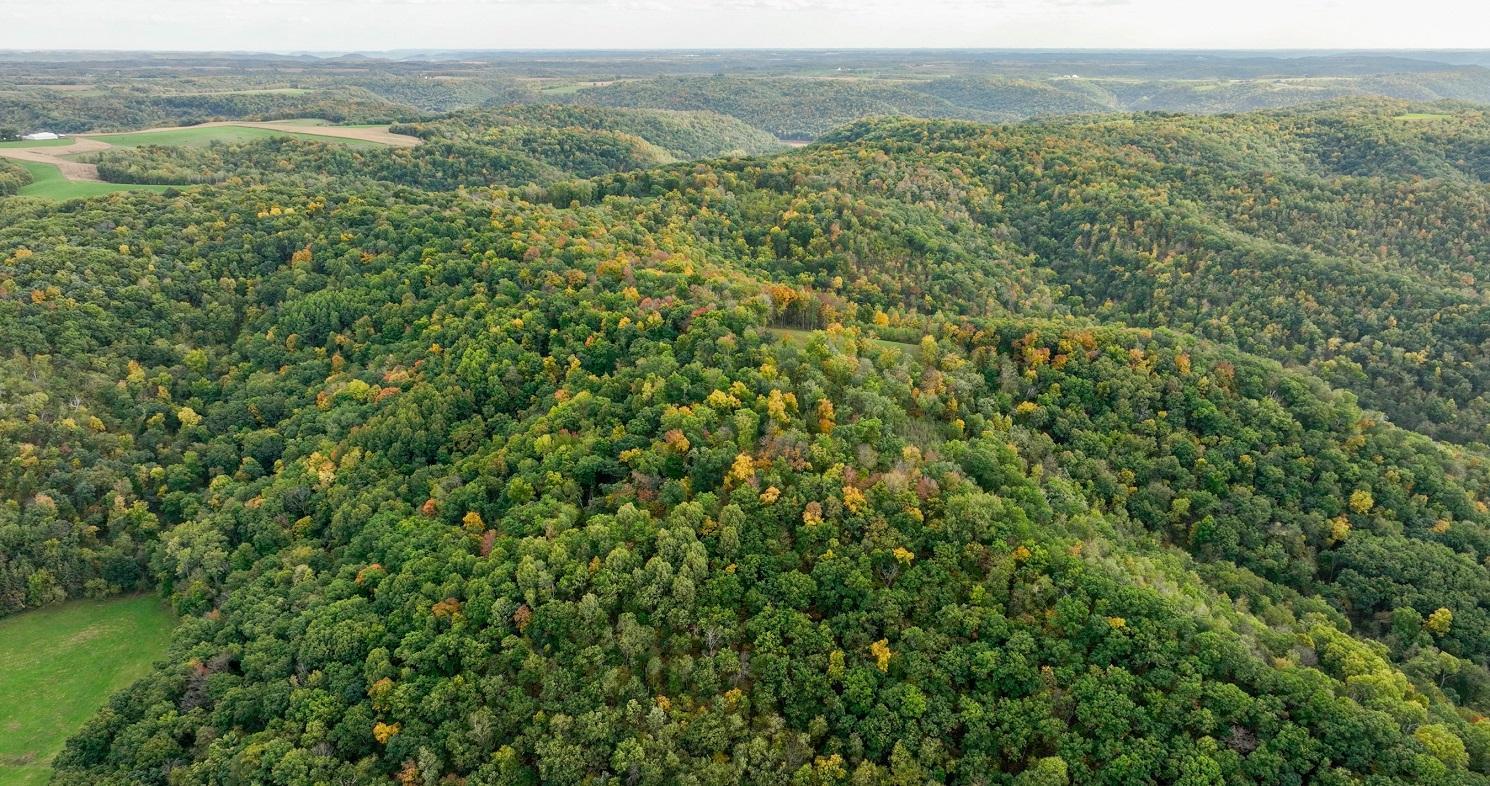 Waumendee Drone Photos-13.jpg