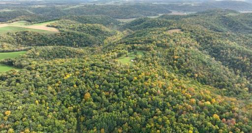 Waumendee Drone Photos-11.jpg