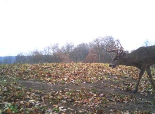 20221104_111730-ed5c.jpg