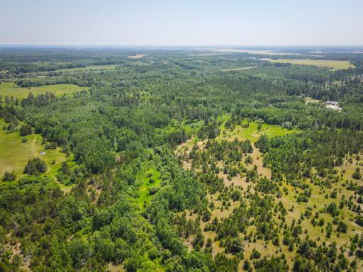TBD Cardinal Rd, Bemidji, MN 56601