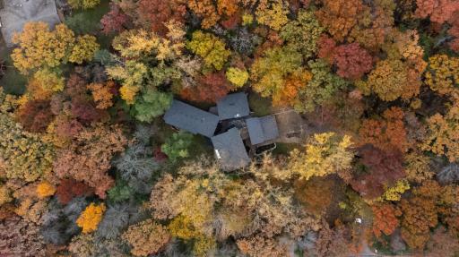 A bird's eye view of the unique and artful floor plan.