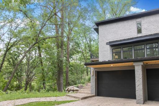 When the foliage fills in, the privacy is outstanding.