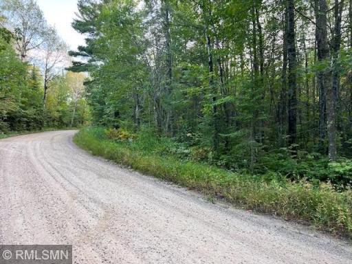 Munson Road, lot in summer before clearing started