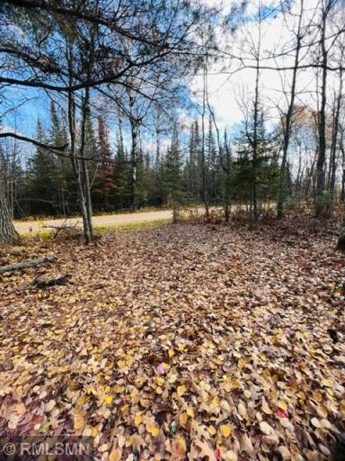 Cleared area for driveway into lot