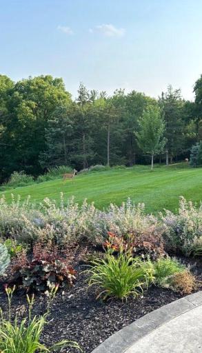 15356 Afton Hills Drive S, Afton, MN 55001