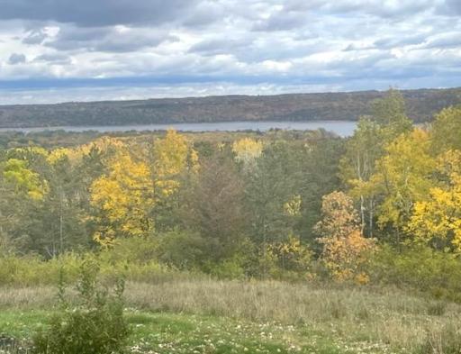 15356 Afton Hills Drive S, Afton, MN 55001