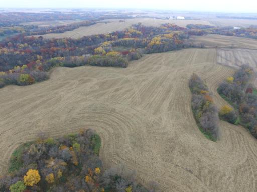 21613 Records Trail, Welch, MN 55089