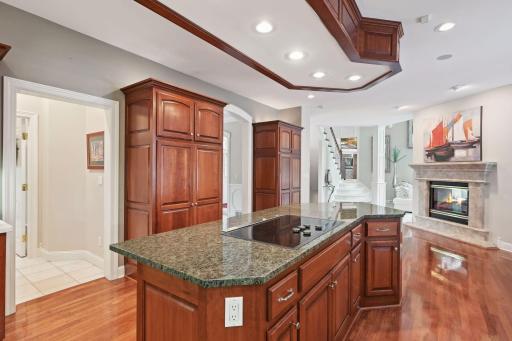 Overhead detailing mirrors & accentuates the design of the center island. Ample storage and counter space for dining & meal prep. Pantry features pullout drawers for easy access to groceries & small appliances.