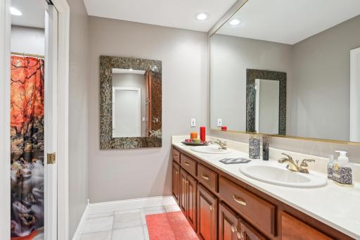 Lower-level guest bathroom with double vanity & separate shower/bath & toilet. Seasonal storage in walk-in cedar closet found across the call. Additional 13'x12' designated storage room for everything else in life.