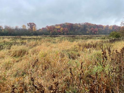 xxx Fertile Avenue, Lonsdale, MN 55046