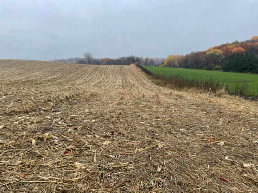 xxx Fertile Avenue, Lonsdale, MN 55046