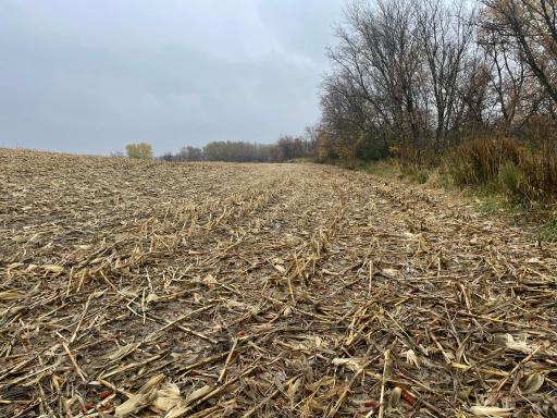 xxx Fertile Avenue, Lonsdale, MN 55046