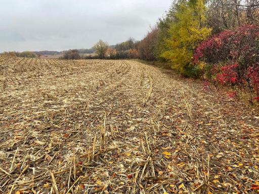 xxx Fertile Avenue, Lonsdale, MN 55046