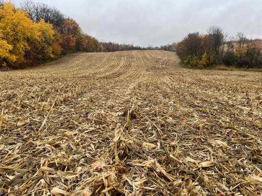 xxx Fertile Avenue, Lonsdale, MN 55046
