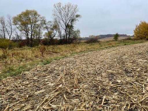 xxx Fertile Avenue, Lonsdale, MN 55046
