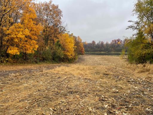 xxx Fertile Avenue, Lonsdale, MN 55046