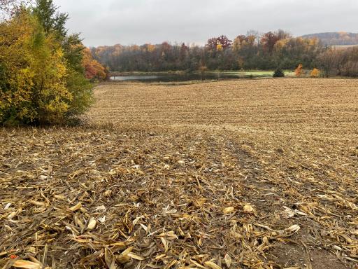 xxx Fertile Avenue, Lonsdale, MN 55046
