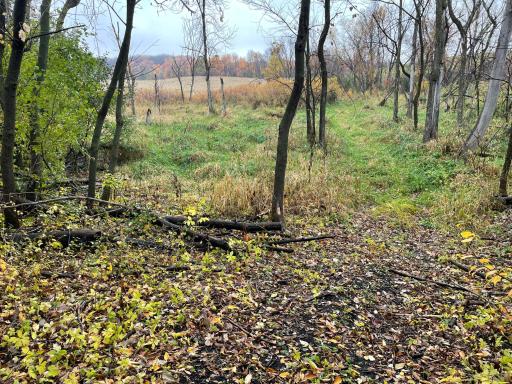 xxx Fertile Avenue, Lonsdale, MN 55046