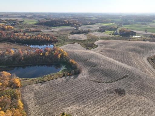 xxx Fertile Avenue, Lonsdale, MN 55046