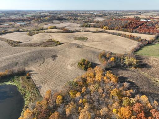 xxx Fertile Avenue, Lonsdale, MN 55046