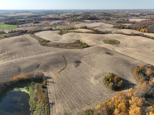 xxx Fertile Avenue, Lonsdale, MN 55046