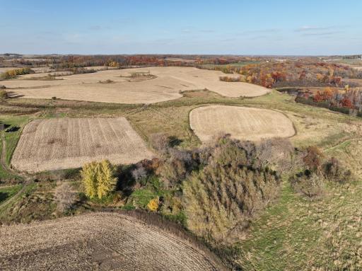 xxx Fertile Avenue, Lonsdale, MN 55046