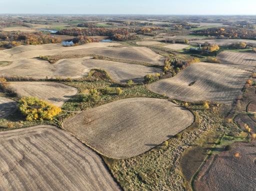 xxx Fertile Avenue, Lonsdale, MN 55046