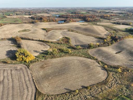 xxx Fertile Avenue, Lonsdale, MN 55046