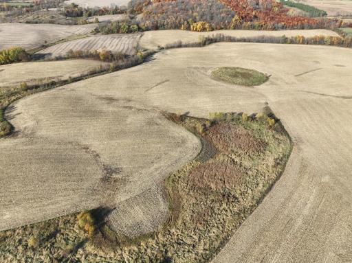 xxx Fertile Avenue, Lonsdale, MN 55046