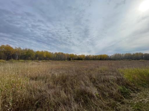 29026 Van Pelt Road NW, Grygla, MN 56727