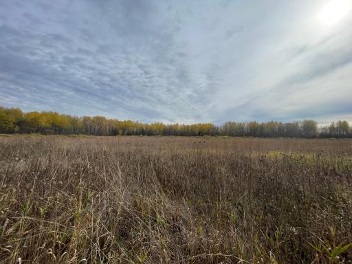 29026 Van Pelt Road NW, Grygla, MN 56727